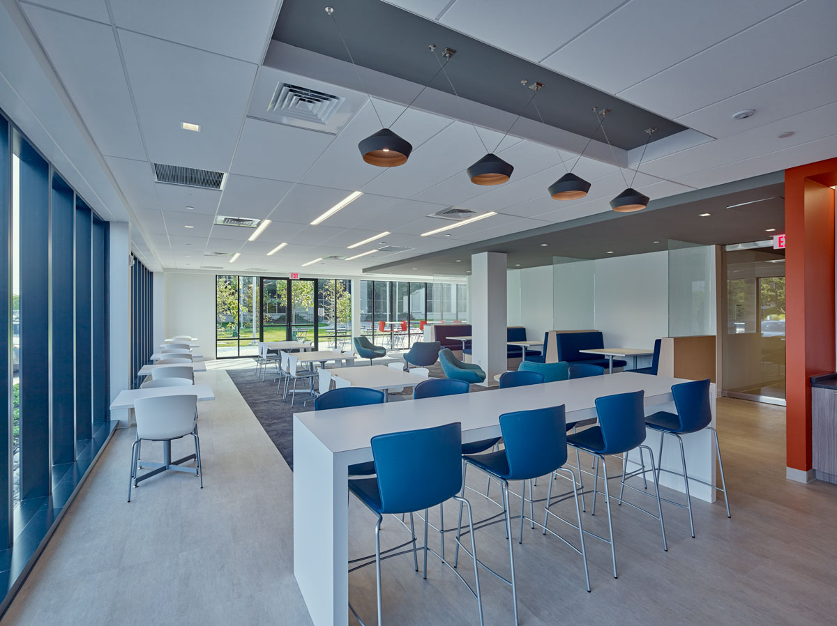 renovation and interiors
